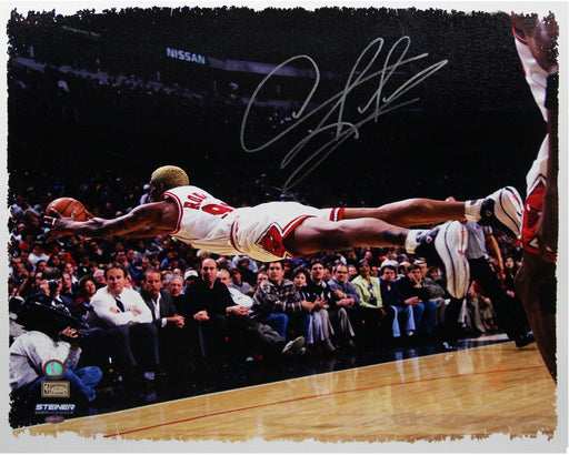 Dennis Rodman Signed The " Dive " 22x26 Canvas