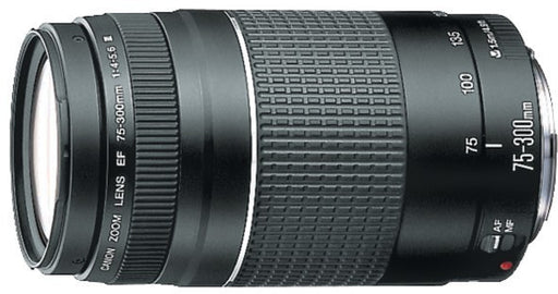 Canon - EF 75 - 300mm Telephoto Zoom Lens