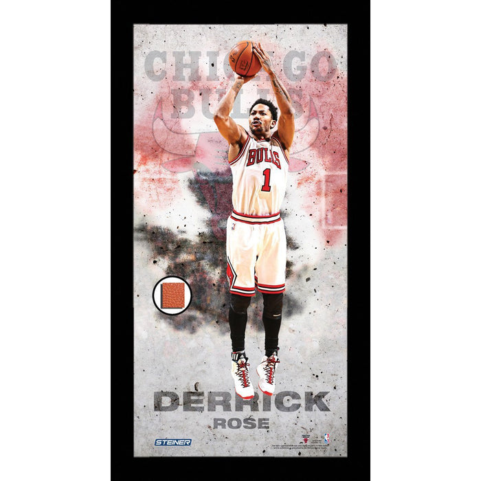 Derrick Rose New York Knicks Player Profile Framed 10x20 Photo Collage w/ Game Used Basketball