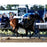 Victor Espinoza Signed American Pharoah Finish Line Celebration 2015 Belmont Stakes 16x20 Photo w/ "2015 Triple Crown"Insc.(Signed in Silver)