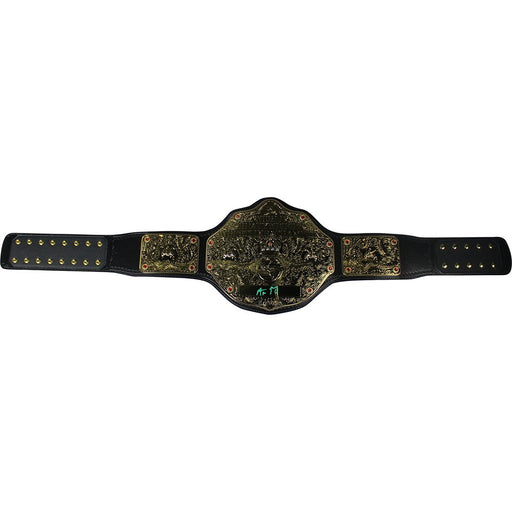 Aaron Rodgers Signed WWE World Heavyweight Championship Commemorative Title Belt