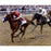 Mike Smith Signed 2018 Belmont Stakes Triple Crown 16x20 Photo w/ "2018 Triple Crown" Insc