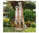 Garden Accents: The Meerkat Gang Statue