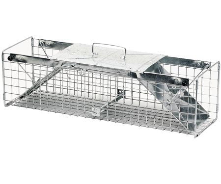 Animal Traps: Havahart Two Door Rabbit Trap